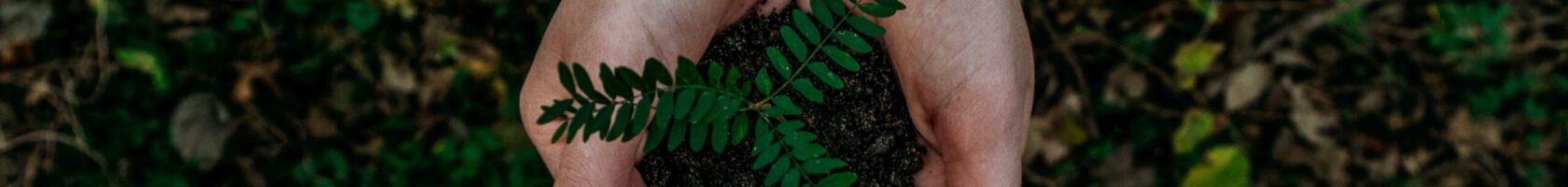 noah-buscher-x8ZStukS2PM-unsplash noah-buscher-x8ZStukS2PM-unsplash